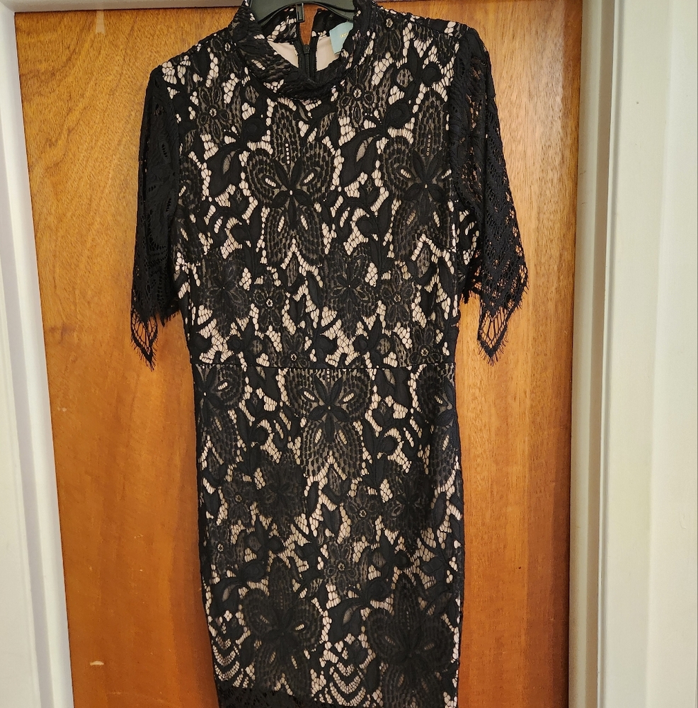 Skies Are Blue Lace Boutique Overlay Cocktail Sheath Dress Black/Nude - M